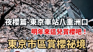 [遊記] 東京市中心賞櫻景點推薦，真的美！