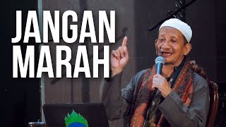 Download lagu KH. Agoes Ali Masyhuri (Gus Ali): Jangan Marah mp3
