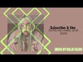 Billie Eilish Wildflower With Lyrics 1 Hour Version