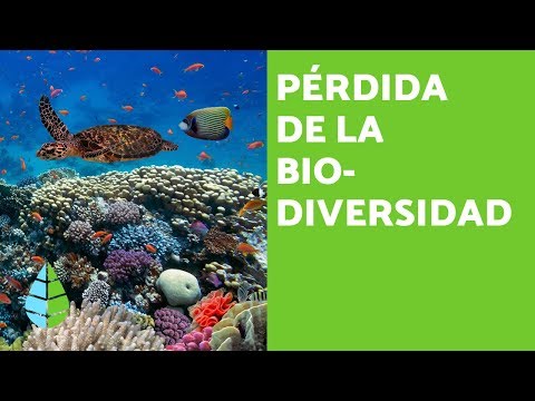 Loss of Biodiversity: Causes and Consequences