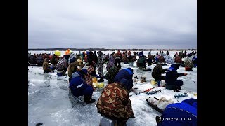 Где клюет рыба в яр обл