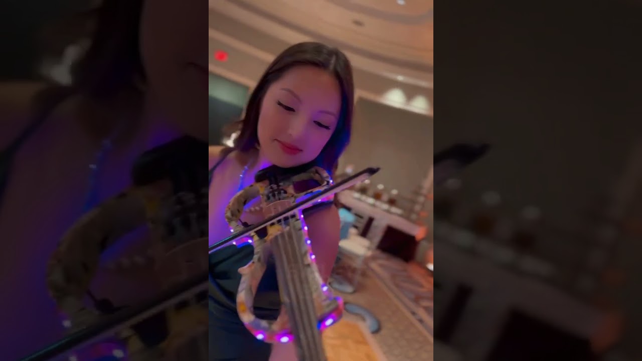 Promotional video thumbnail 1 for Megan Li Electric Violinist