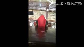 Download lagu Yolanda Sri Utami mp3