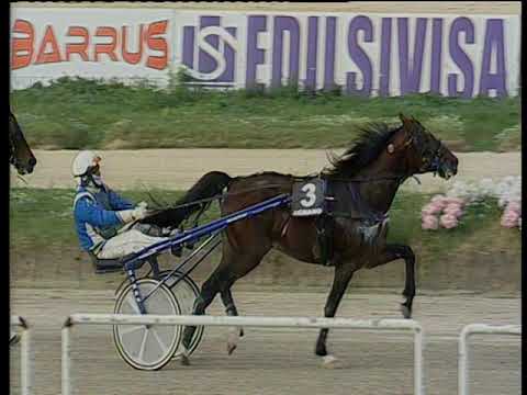 Trotto 08/11/2019 - 3ª corsa