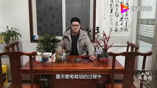 如何让葡萄提前上市？小阳讲述几种方法，你知道多少？