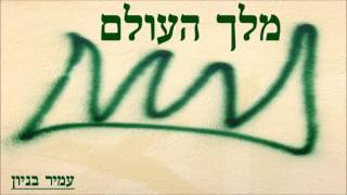 עמיר בניון
