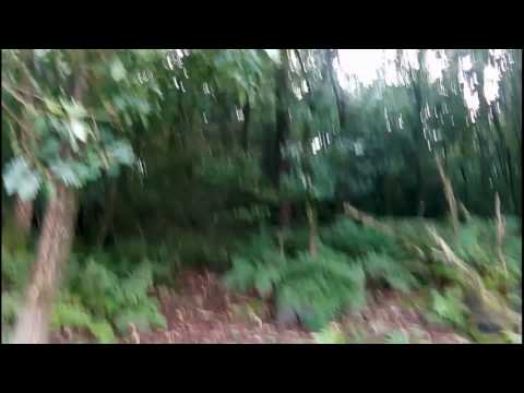 Kleine Bushcraft Tour- Die erste Nacht im Shelter