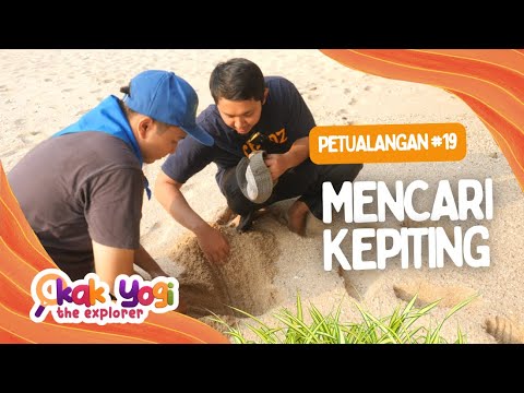 Kak Yogi The Explorer #19: Mencari Kepiting