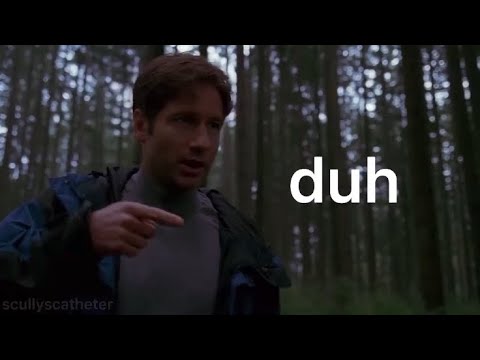 mulder and scully being a comedic duo