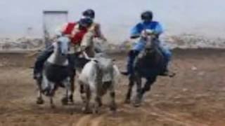 Luto en la manga   Rafael Perez