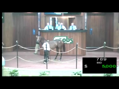 OBS Oct 2018 Yearling Sale 10-11-18