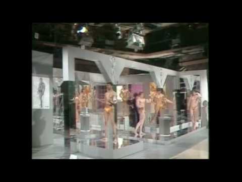 Wie ein Vogel auf dem Draht - 1975