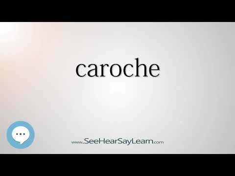 caroche - Smart & Obscure English Words Defined 🗣🔊