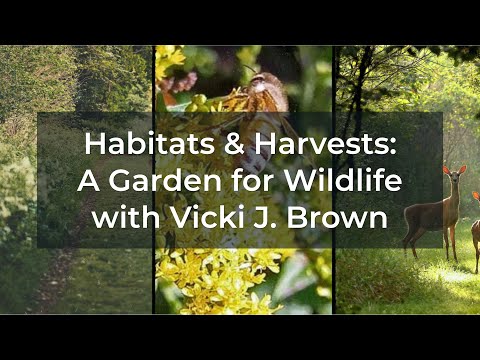 Habitats & Harvests: A Garden for Wildlife