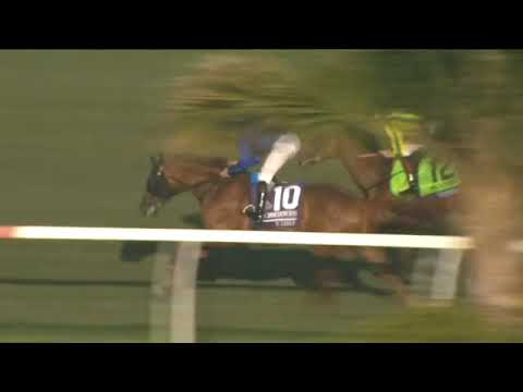 2021 DEL MAR Breeders' Cup Turf