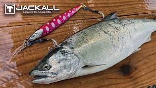 【サクラマス ジギング】2026年春開幕!! 実釣から見る有効パターン / 根元 陽介