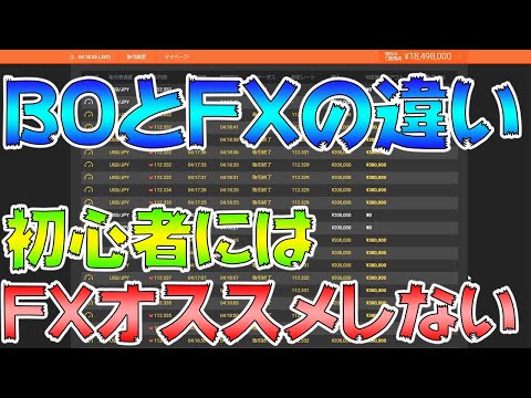 .boについて詳しく解説