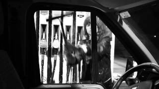 Go Go Berlin - On The Road