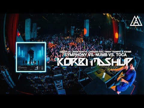 Aspyer vs. Linkin Park vs. Carnage - Symphony vs. Numb vs. Toca (Korbinian Schindler Mashup)
