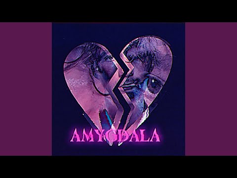 Amygdala
