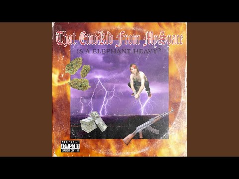 IS A ELEPHANT HEAVY?