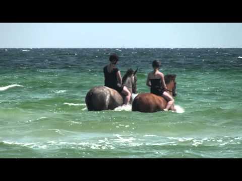Skibby SRV Freja og Fransiska på stranden med Joakim og Ringo