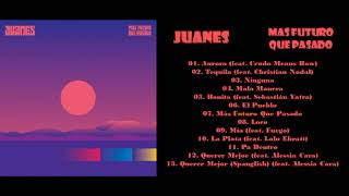 Juanes - Pa Dentro