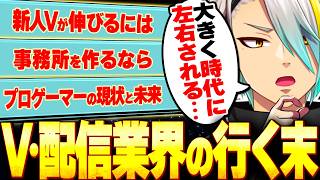 VTuberや配信者業界の行く末について考える活動歴9年目VTuber歌衣メイカ【歌衣メイカ】【雑談切り抜き】