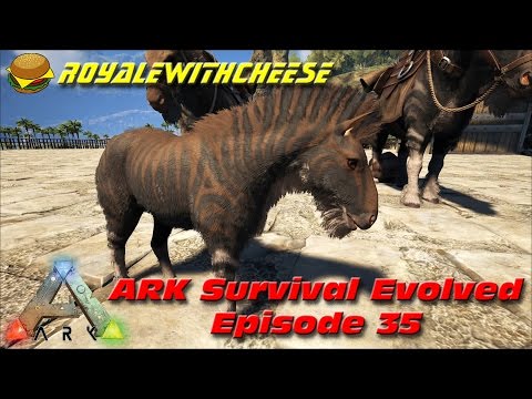 ARK Survival Evolved E35 Perfect Tame Equus Breeding