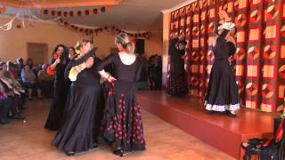 preview picture of video 'Grupo de baile de Sevillanas de Sta  Maria del Paramo'
