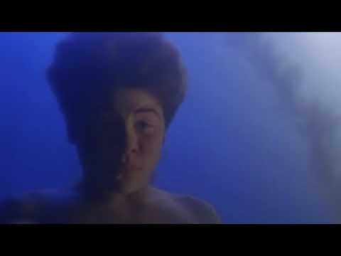 The Thirteenth Year - Reunion