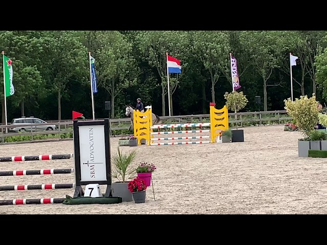 Eaton Z (Mother Showvideo as 5yo