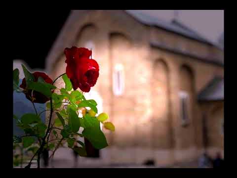 Душица Билкић и НО РТС - Кад би ове руже мале