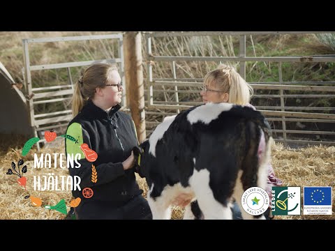 Matens hjältar - Högareds