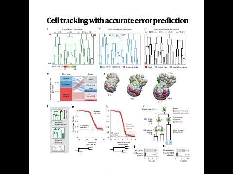 213-OrganoidTracker 2.0: Cell Tracking with Error Prediction