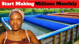 How To Start A Fish Pond Business In Africa 2024| Step by Step