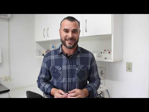 Foto de capa da notícia: Nova Petrópolis registrou 81 focos do mosquito Aedes aegypti em janeiro e fevereiro