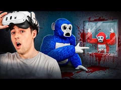 Busting 25 Myths In Scary Baboon!