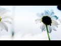 The Cover II Jar Of Hearts Christina Perri Mike H S Cover