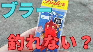 【釣れない？】ブラーの釣りは色が大切です