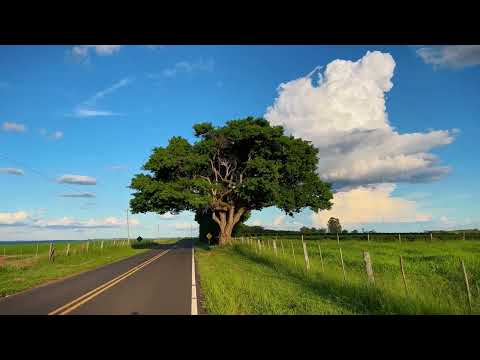 Life in the Countryside – Discover the Interior of São Paulo on a Relaxing Walk