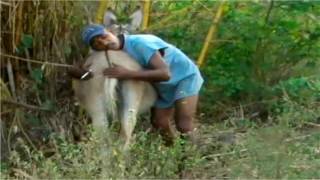 Hernan "El Corroncho" Villa - EL BURRERO