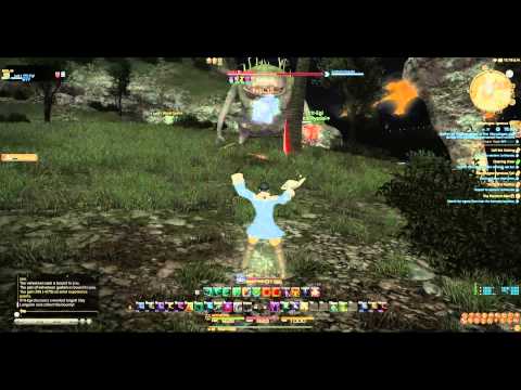 [PC] Final Fantasy XIV ARR (Ardonis) - 08 Costa del Sol Leves