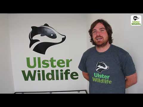 Grassroots Challenge - Highlights of the first year