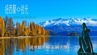 紐西蘭05 瓦納卡湖 Lake Wānaka、高地鮭魚場 High Country Salmon, NEW ZEALAND