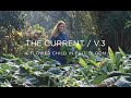 The Current, Vol. 3: A Flower Child in Full Bloom | The Urban Electric Co.