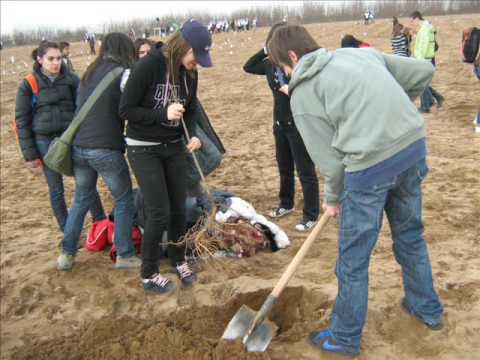 Romania prinde radacini in Dabuleni