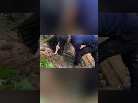 “Night of Terror: Escaping Wild Predators in the Jungle”