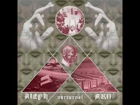 ALEPH NULL "Nocturnal" - Full ALBUM 2014
