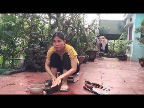 Modular Forms and Galois Representations school of education